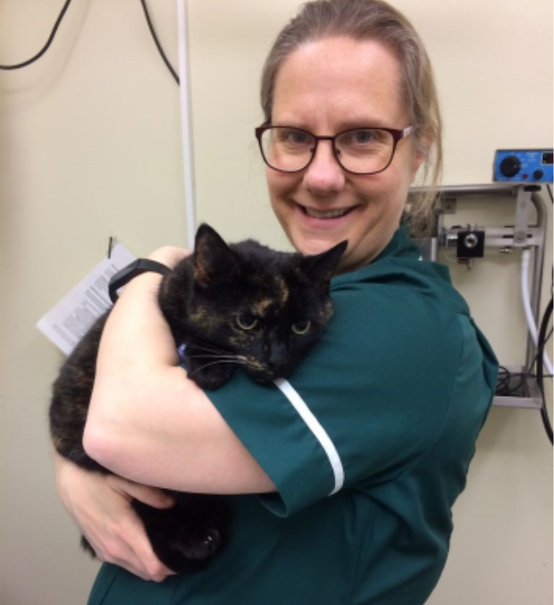 Charlotte | Cambridge Cat Clinic